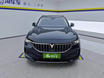 2023 Voyah Auto VOYAH FREE 4WD Extended Range Edition, фото 2, лот 10436146