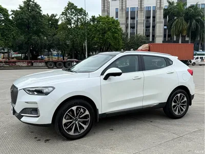 2019 Haval F5 National Trend Edition 1.5T iTrend China VI, фото 1, лот 10305986
