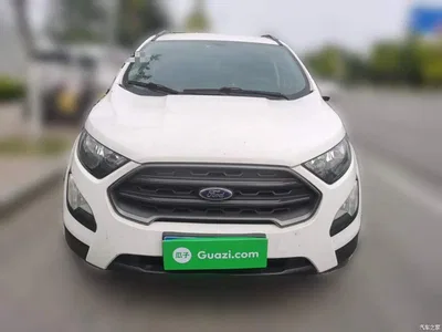 2019 Ford EcoSport 1.5L Auto Platinum Wing Sport Edition, фото 2, лот 10390752