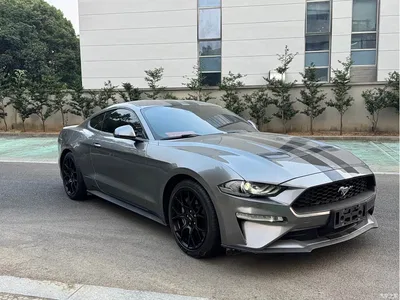 2019 Ford Mustang 2.3L EcoBoost, фото 3, лот 11192183