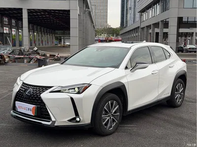 2020 Lexus UX Electric 300e Pure Yue Edition, фото 1, лот 10317418