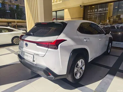 2019 Lexus UX 260h Explorer Fun Edition (China V), фото 4, лот 11548826