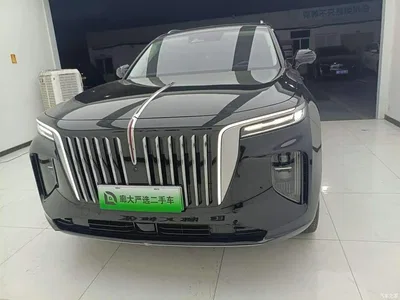 2022 Hongqi E-HS9 660km Qi Ling Edition (4-seater), фото 2, лот 11140321
