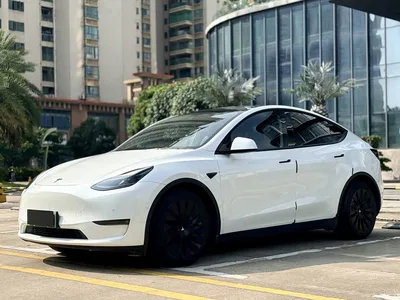 2021 Tesla Model Y Standard Range Rear-Wheel Drive, фото 1, лот 11242748