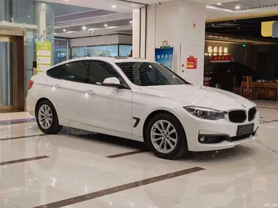 2016 BMW 3 Series GT 320i Fashion Style, фото 3, лот 10473429