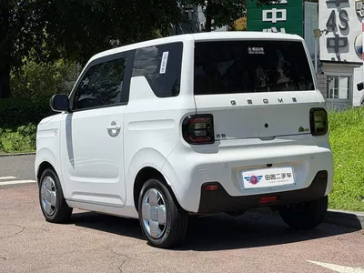 2024 Geely Galaxy Panda mini 200km Endurance Bear, фото 4, лот 10428505