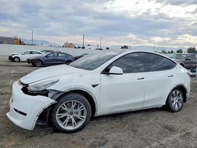 2023 TESLA MODEL Y, фото 1, лот 10677048