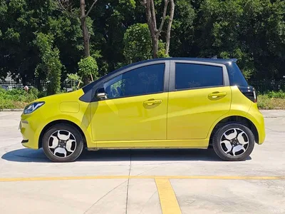 2021 Sehol Flower Fairy 302km Luxury Edition 31.4kWh, фото 2, лот 11149983