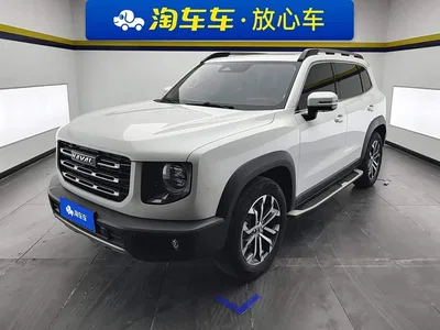 2021 Haval Big Dog 1.5T DCT 2WD Border Collie - Wangcai Edition, фото 1, лот 10391350