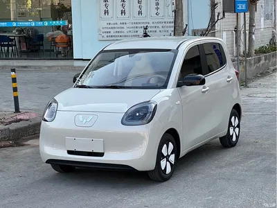 2025 Wuling Motors Hongguang MINIEV 4-Door Advanced, фото 1, лот 10367132