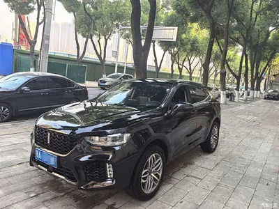 2019 WEY VV5 1.5T 2WD Trend Pioneer, фото 1, лот 10306961