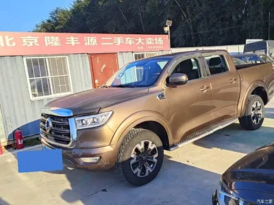 2019 Great Wall Pao 2.0T Automatic Gasoline 2WD Comfort GW4C20B, фото 1, лот 10407625