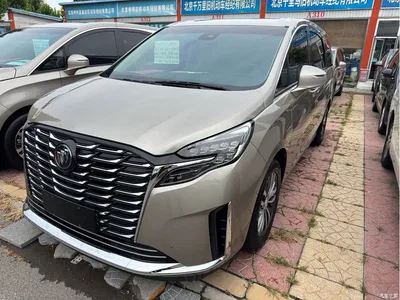 2023 Buick GL8 ES Landmaster Exclusive, фото 1, лот 10250424