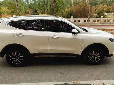 2023 Haval H6 National Trend Edition 1.5T Automatic Urban, фото 4, лот 11571524