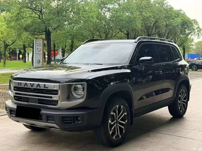 2024 Haval Big Dog 1.5T DCT Border Collie Edition, фото 1, лот 10612660