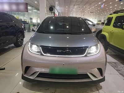 2021 BYD Dolphin 401km Knight Edition, фото 3, лот 10264677