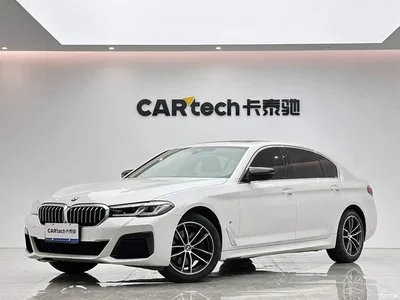 2021 BMW 5 Series 525Li M Sport Package, фото 1, лот 11089562
