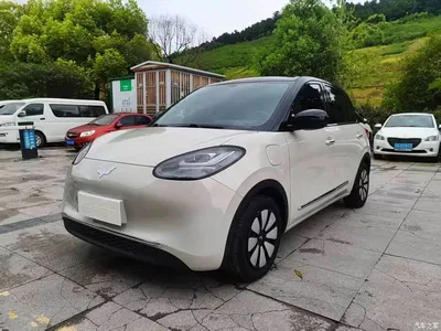 2023 Wuling Motors Wuling Bingo 333km Joyful Version, фото 1, лот 10367240
