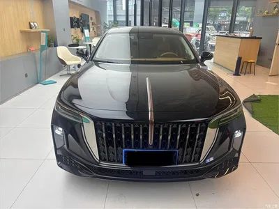 2025 Hongqi H9 2.0T 2WD Qixiang Private Style Edition 5-seater, фото 2, лот 10361078