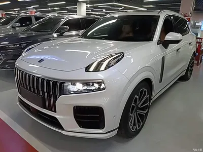 2023 Lynk & Co 09 EM-P 2.0TD EM-P AWD Asian Games Executive Edition 5-Seater, фото 2, лот 10317015