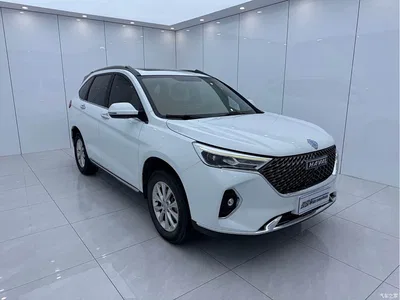 2021 Haval M6 PLUS 1.5T DCT Luxury Smart Connect, фото 3, лот 10593052