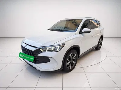 2023 BYD Song Pro New Energy Champion Edition DM-i 71KM Pilot Model, фото 2, лот 10276791