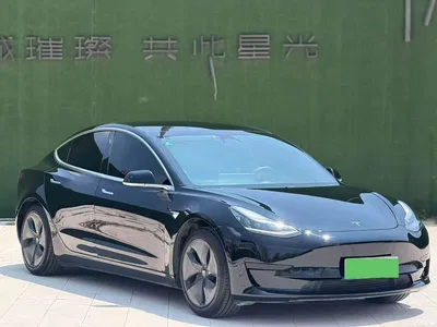 2020 Tesla Model 3 Standard Range Rear-Wheel Drive Upgrade, фото 2, лот 10366608