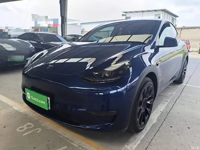 2021 Tesla Model Y Long Range All-Wheel Drive 3D7, фото 1, лот 10370126