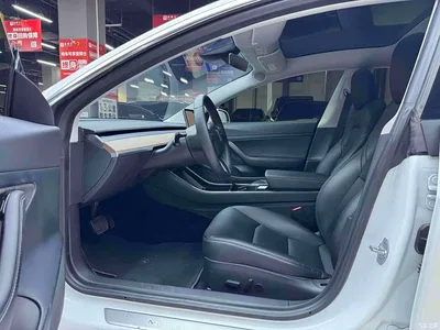 2020 Tesla Model 3 Facelift Long Range Rear-Wheel Drive, фото 4, лот 11066987