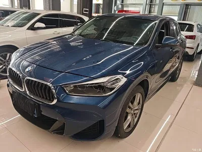 2021 BMW X2 Facelift sDrive25i M Sport Package, фото 2, лот 10475649