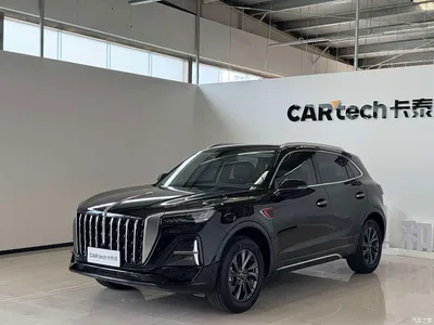 2023 Hongqi HS5 2.0T Flag Enjoy Pro Edition, фото 1, лот 10817102