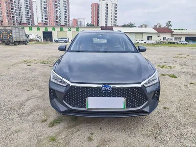 2021 BYD e2 Luxury Edition, фото 2, лот 10253297