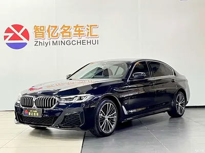 2023 BMW 5 Series 530Li Leading M Sport Package, фото 1, лот 11190183
