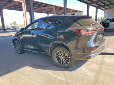 2023 LEXUS NX 350H, фото 2, лот 10649760