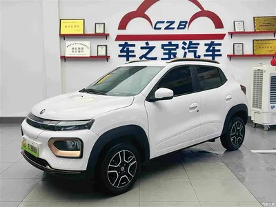 2022 Dongfeng Yipai Nano BOX Wind Chaser Edition 351KM Standard, фото 2, лот 11566116
