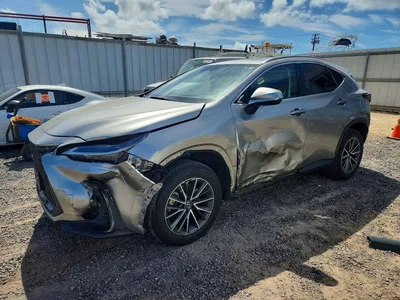 2023 LEXUS NX 250, фото 1, лот 10637869