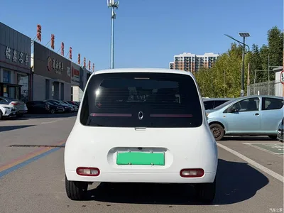 2020 Ora White Cat 401km Flagship Model, фото 4, лот 11568442