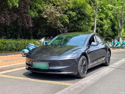 2025 Tesla Model 3 Model Rear-Wheel Drive Edition, фото 1, лот 10368339