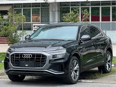 2022 Audi Q8 55 TFSI Luxury Dynamic, фото 1, лот 10233835