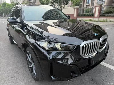 2025 BMW X5 Model xDrive 30Li M Sport Blackout Package, фото 3, лот 10396157