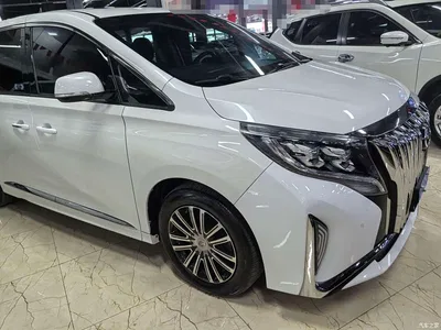 2021 GAC Trumpchi Trumpchi M8 Leading Show Series 390T Prestige Edition, фото 3, лот 10416583