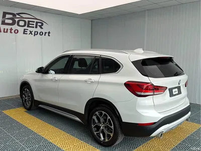 2020 BMW X1 sDrive20Li Premium Edition, фото 4, лот 10466868