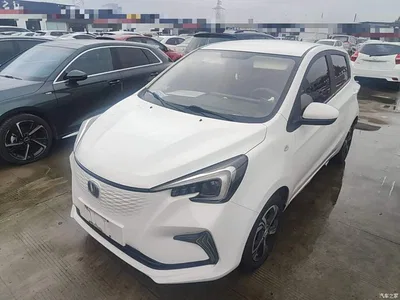 2020 Changan Benben E-Star Model Happy Edition (LFP 31.18kWh), фото 2, лот 11242500