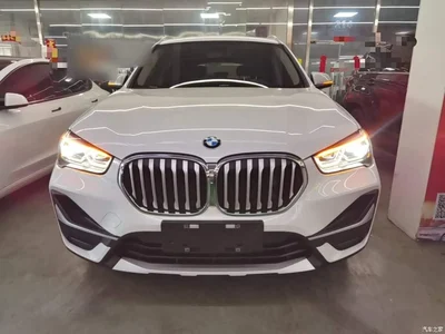 2021 BMW X1 xDrive25Li Exclusive, фото 3, лот 10467476