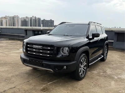 2022 Haval Big Dog 1.5T DCT FWD Border Collie Edition, фото 1, лот 11006632