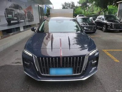 2023 Hongqi H5 2.0T Auto Smart Connect Flagship, фото 3, лот 10289710