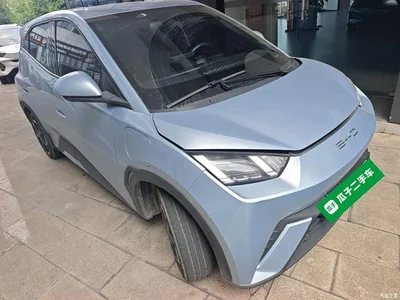 2025 BYD Seagull Smart Drive Edition 305km Freedom Version, фото 4, лот 10259022