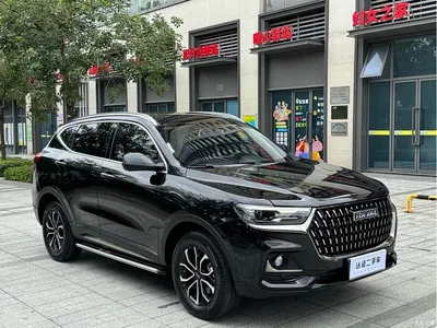 2023 Haval H6 National Trend Edition 1.5T Automatic Urban, фото 3, лот 10400539
