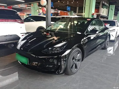 2022 Tesla Model 3 Model Rear-Wheel Drive Version, фото 1, лот 10370528