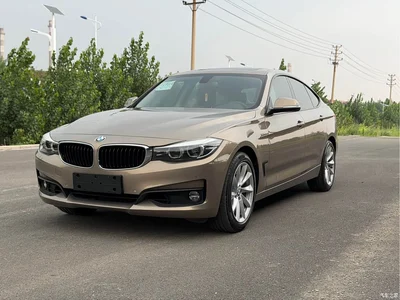 2019 BMW 3 Series GT 320i Fashion Model, фото 1, лот 10473440
